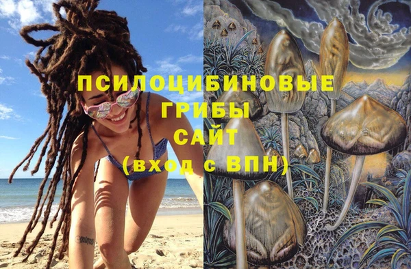 дмт Надым